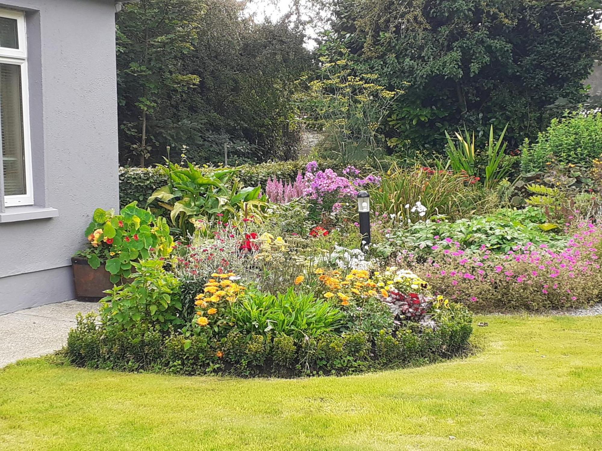 Conways B&B Claremorris Exterior photo