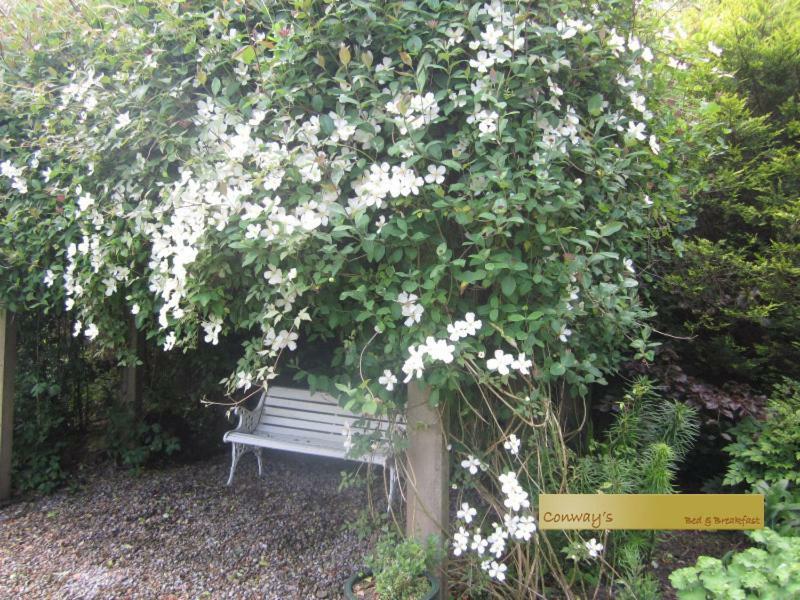Conways B&B Claremorris Exterior photo